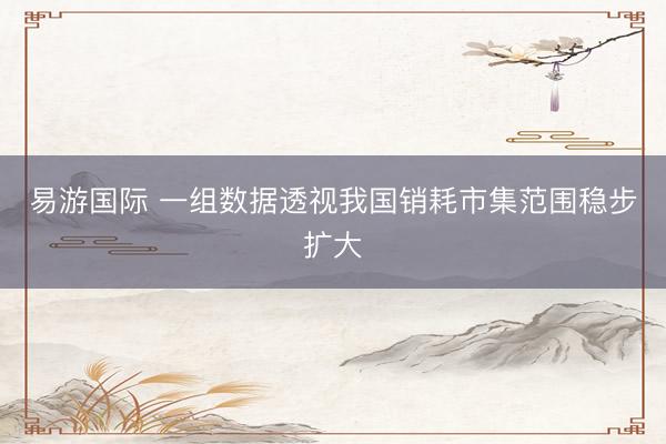 易游国际 一组数据透视我国销耗市集范围稳步扩大