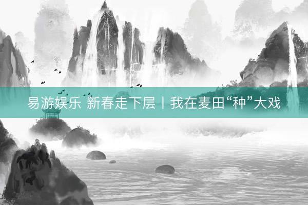 易游娱乐 新春走下层丨我在麦田“种”大戏