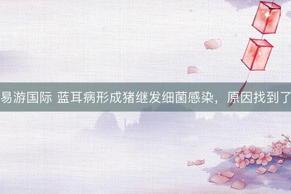 易游国际 蓝耳病形成猪继发细菌感染，原因找到了