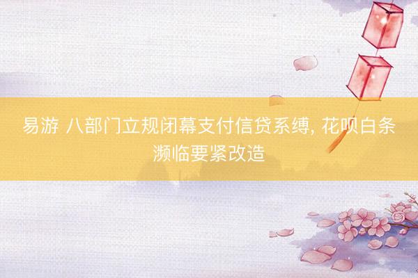 易游 八部门立规闭幕支付信贷系缚, 花呗白条濒临要紧改造